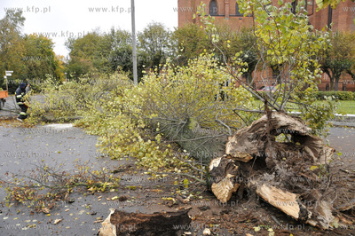 Polamane drzewa, przygniecione auta, zniszczone dachy...