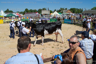 XX Pomorskie Targi Rolno Przemyslowe Pomorska Wojewodzka...