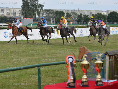 Wyscigi konne na sopockim Hipodromie. 17.07.2016 fot....