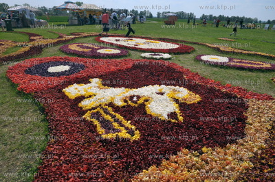 Zulawski Tulipan -  piata edycja imprezy zorganizowanej...