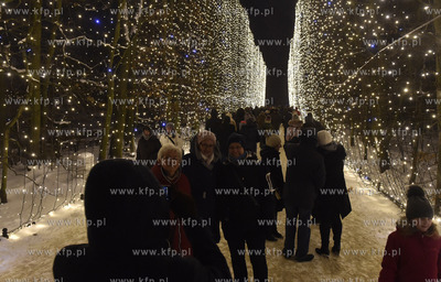 Gdańsk. Iluminacja świąteczna w Parku Oliwskim....