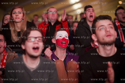 Mistrzostwa Europy w piłce ręcznej. Kibice oglądają...