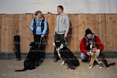 Sopot. Hipodrom. Psie zawody o Puchar Planet Pet Society...