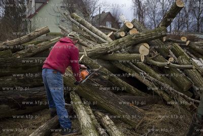 Wycinka drzew przy ul. Kochanowskiego w Gdańsku.
28.02.2017
fot....