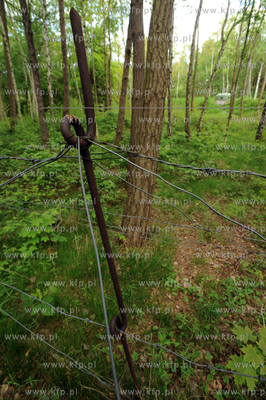 Polwysep Helski miedzy Kuznica a Jastarnia. Osrodek...