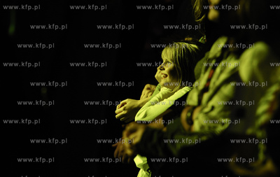 Pruszcz Gdanski. Miedzynarodowy Baltycki Park Kulturowy...