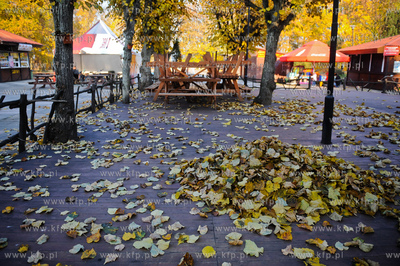 Gdansk. Park Jelitkowski.
06.11.2011
fot. Mateusz...