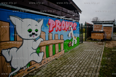 Gdansk. Schronisko dla bezdomych zwierzat Promyk. Akcja...