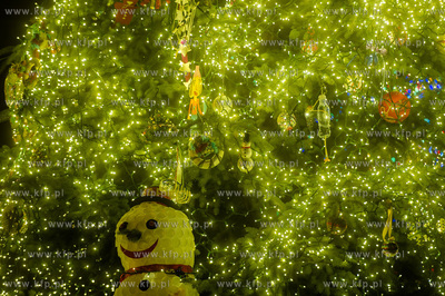 Gdansk. Przywitanie Swietego Mikolaja, parada zaczarowanego...