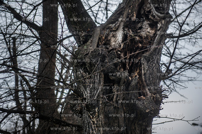 Gdańsk. Znajdująca się w ciągu Alei Zwyciestwa,...