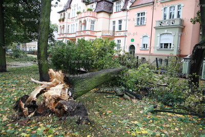 Sopot. Skutki wichury, ktora szalala w nocy w Sopocie....