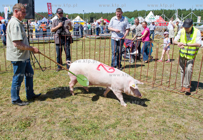 XX Pomorskie Targi Rolno Przemyslowe Pomorska Wojewodzka...
