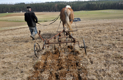 Wiosenne prace rolne przy uzyciu konia w Sulminie na...