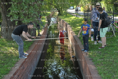 Festiwal Streetwaves w Gdansku Dolnym Wrzeszczu. Park...