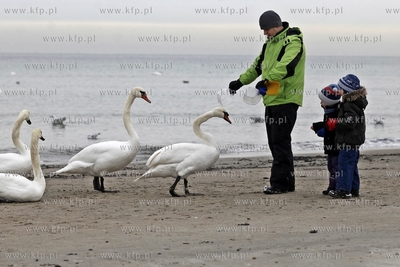 Sopot. Plaza.
08.12.2013
ot. Krzysztof Mystkowski...