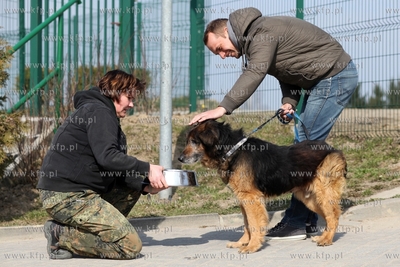 Schronisko dla Bezdomnych Zwierząt "Promyk" w Gdańsku...