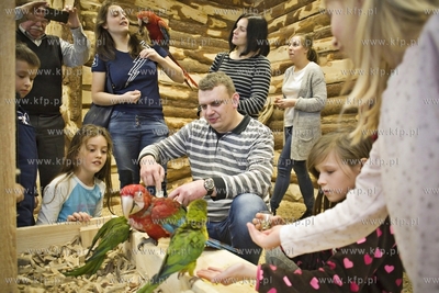 Nowa Papugarnia w Gdańsku Suchaninie.
29.12.2016
fot....