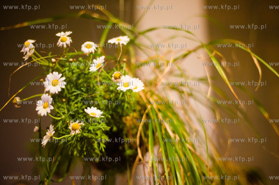 Gdansk. Festiwal artystycznych instalacji w przestrzeni...