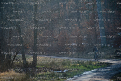 Gdansk. Oliwa, Trojmiejski Park Krajobrazowy. Asfaltowa...