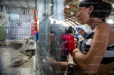 Hipodrom Sopot. Międzynarodoa Wystawa Kotow Rasowych...
