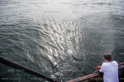 Morze Bałtyckie. Rybacy z Władysławowa, z kutra...