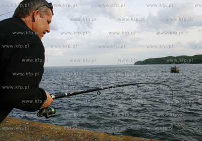 Dziesiatki wedkarzy spotkac mozna od kilku dni na falochronie...