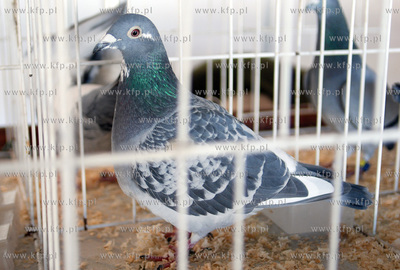 W dniach 5-7 stycznia w halach wystawienniczych Miedzynarodowych...