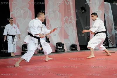 III Ogolnopolski Zlot Fanow M jak Milosc. Pokaz karate...