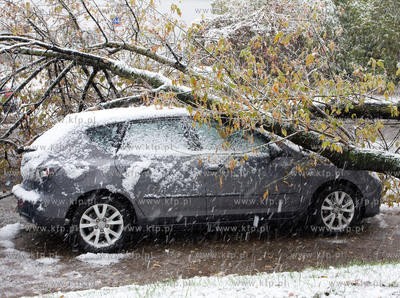 Nagly atak zimy w Warszawie.  Nz powalone drzewa na...