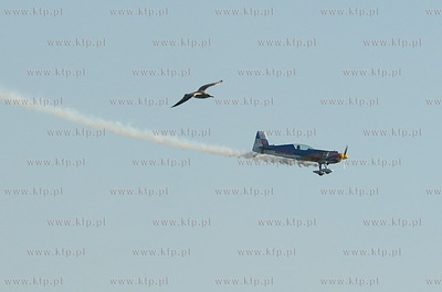 W ramach konferencji poswieconej Mistrzostw Swiata...