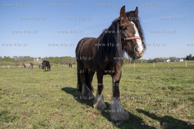 Warzno, wieś kaszubska położona w w województwie...