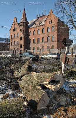 Wycinka drzew pod budowe nowej Trasy Slowackiego. Tereny...