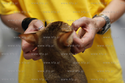 Sopot. Hala 100-lecia Sopotu. Miedzynarodowa Wystawa...