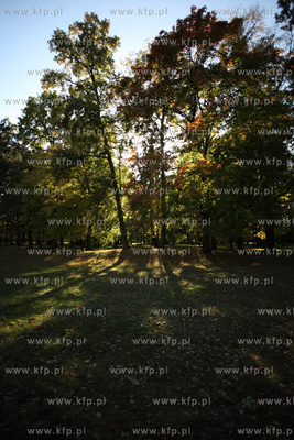 Gdansk. Park Przymorze.
17.10.2012
fot. Krzysztof...