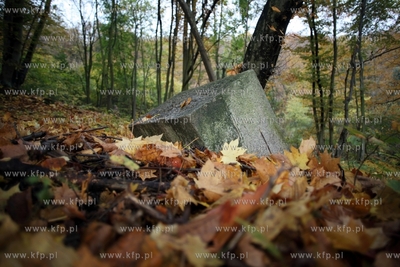 Pozostalosci cmentarza zydowskiego na  Krolewskim Wzgorzu...
