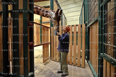 W gdanskim zoo  ustanawiany jest rekord Guinnessa....