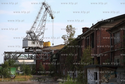 Tereny postoczniowe w Gdansku.
15.08.2014
fot. Krzysztof...