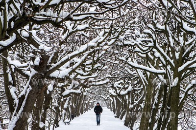 Zima w parku Oliwskim 9.02.2021 / fot. Anna Rezulak...