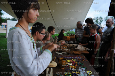 Pruszcz Gdanski. Miedzynarodowy Baltycki Park Kulturowy...