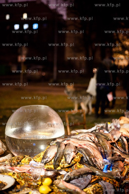 Gdansk. Trawnik przy ul. Czopowej. Festiwal artystycznych...