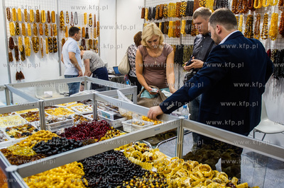 Miedzynarodowe Targi Gdanskie Amber Expo. Miedzynarodowe...