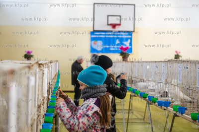 Zespol Szkol Rolniczych w Rusocinie. Wystawa Golebi...
