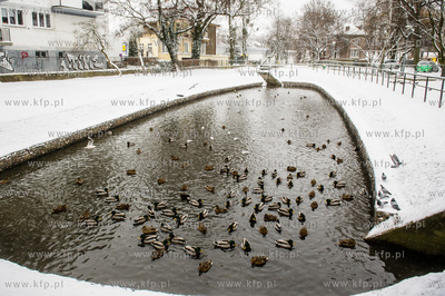 Gdańsk. Wrzeszcz. Park Uphagena.  08.02.2017 fot....