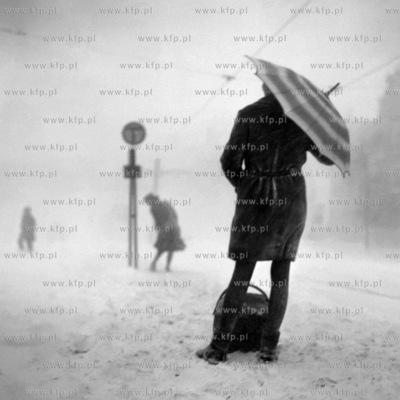 Kobiety oczekują na tramwaj na zaśnieżonym przystanku...