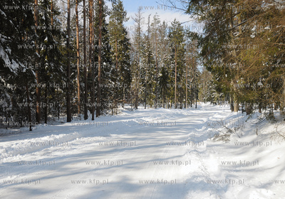 Szymbark /Kartuz. Zima na Kaszubach.
26.03.2009
Fot....