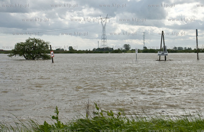 Drewnica okolice sluzy Glowa Gdanska Nz  Podnoszacy...