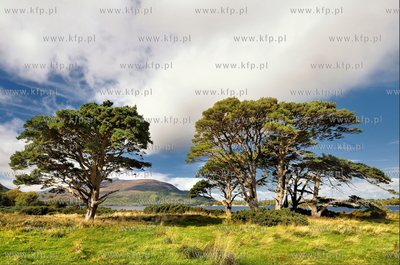 Irlandia poludniowa, Muckross House, hrabstwo Kerry,...