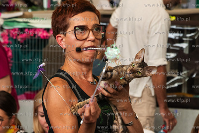 Międzynarodowa wystawa kotów rasowych "Koty na Hawajach"...