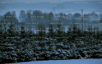 Zimowy wieczor w Sulminie na Kaszubach.
03.01.2010
fot....
