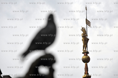 Gwaltowana burza, ktora przeszla nad Gdanskiem uniemozliwila...